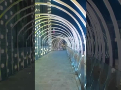 IP68 Sualtı Neon Flex 24V TPU Malzemeleri Yüzme havuzu kullanımı için esnek LED şerit